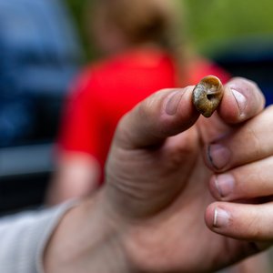 Camping_June-2026_05.jpg