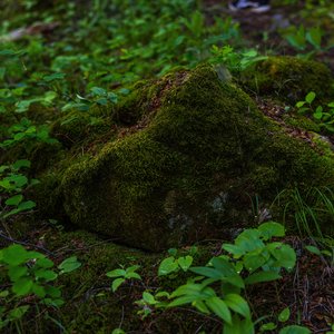 Camping_June-2026_103.jpg