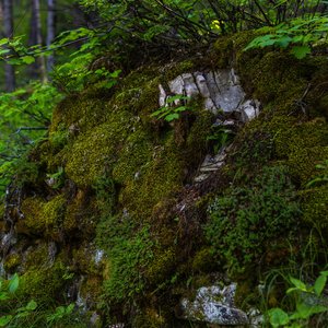 Camping_June-2026_104.jpg