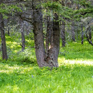 Camping_June-2026_106.jpg