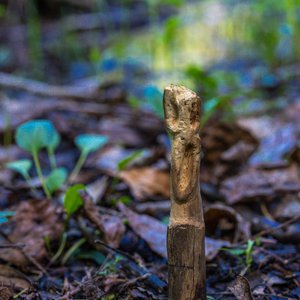 Camping_June-2026_111.jpg