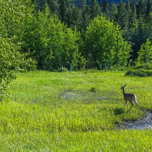 Camping_June-2026_115.jpg