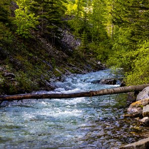Camping_June-2026_18.jpg