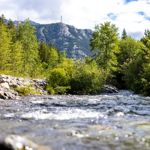 Camping_June-2026_19.jpg
