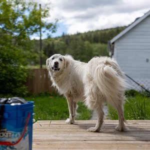Camping_June-2026_28.jpg