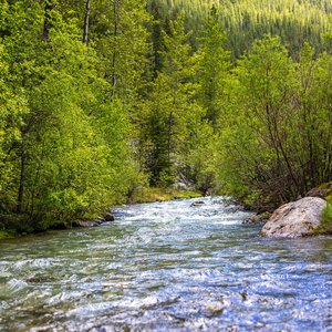 Camping_June-2026_47.jpg