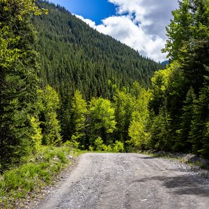 Camping_June-2026_48.jpg