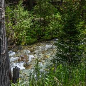 Camping_June-2026_49.jpg