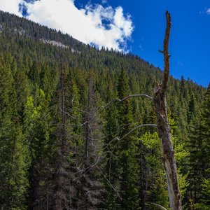 Camping_June-2026_51.jpg