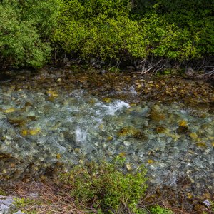 Camping_June-2026_52.jpg