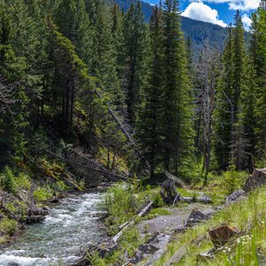 Camping_June-2026_53.jpg