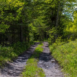 Camping_June-2026_54.jpg