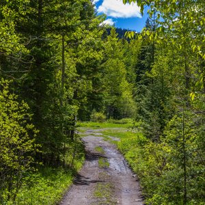 Camping_June-2026_55.jpg