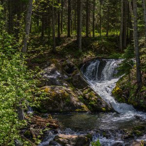 Camping_June-2026_57.jpg