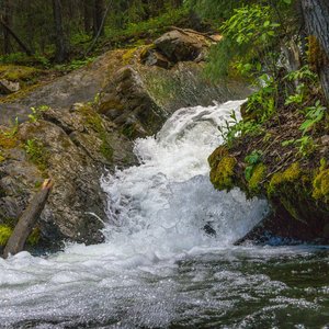 Camping_June-2026_68.jpg