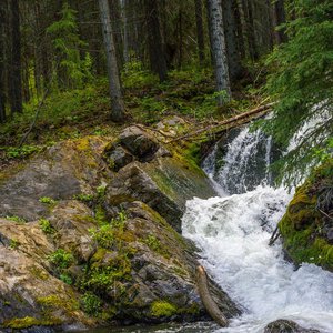 Camping_June-2026_71.jpg
