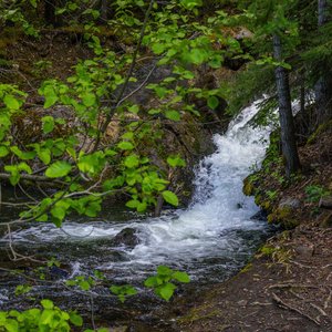 Camping_June-2026_73.jpg