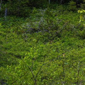 Camping_June-2026_77.jpg