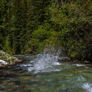Camping_June-2026_80.jpg
