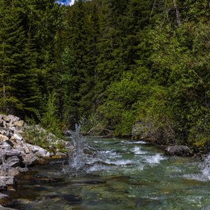 Camping_June-2026_81.jpg