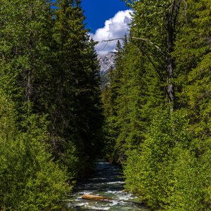Camping_June-2026_83.jpg