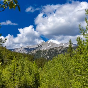 Camping_June-2026_86.jpg