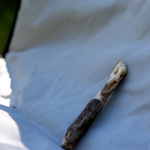 Camping_June-2026_88.jpg