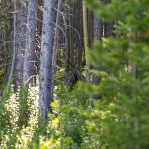 Camping_June-2026_90.jpg