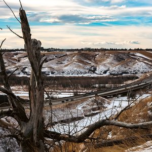 landscape5.jpg
